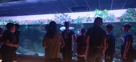 Wyjście do Egzotarium